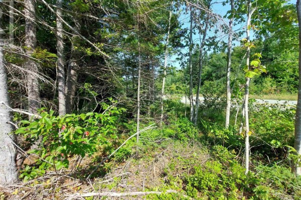 70 Acre Highway 4, Grande Anse, NS B0E1J0 Photo 2