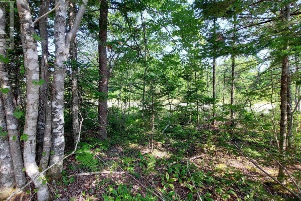70 Acre Highway 4, Grande Anse, NS B0E1J0 Photo 4