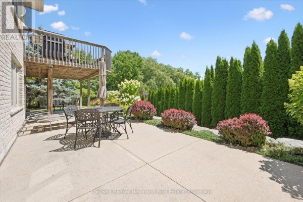 Cold room - 70 Bathgate Drive, Guelph, ON N1L1B1 Photo 5