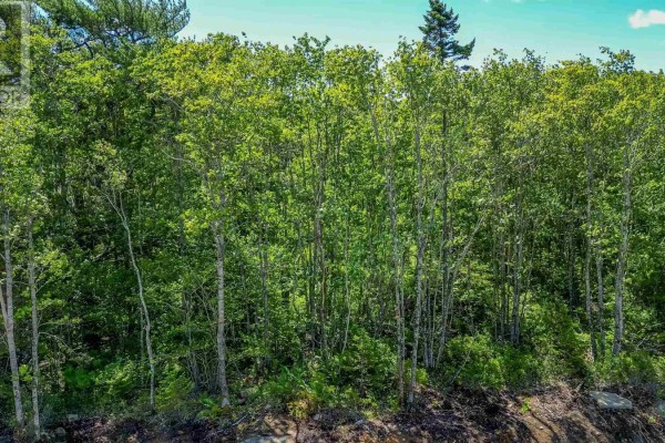 70 Morton Drive, Liverpool, NS, photo 2