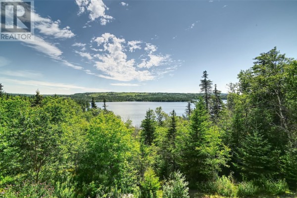 Storage - 70 Nine Island Pond South Road, Colliers, NL A0A1Y0 Photo 5