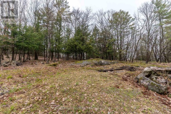 70 Village Hill Road, Huntsville, ON P0B1L0 Photo 5