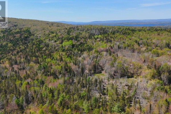7004 Marble Mountain Road, Malagawatch, NS B0E2Y0 Photo 4