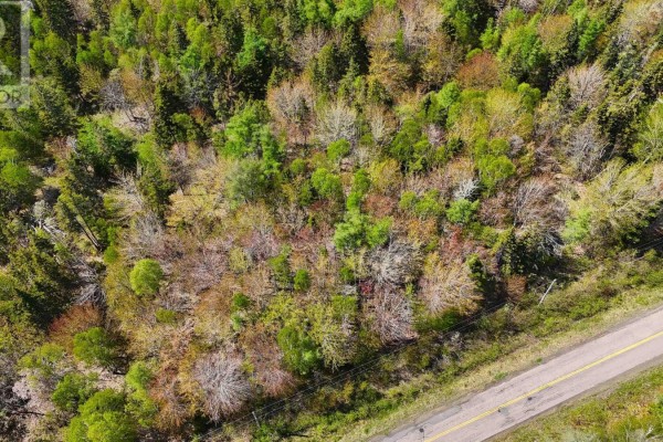 7004 Marble Mountain Road, Malagawatch, NS B0E2Y0 Photo 5