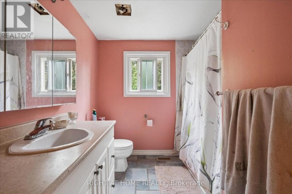 Bathroom with pink walls, vanity, toilet, and floral shower curtain - 701 Central Park Boulevard N Oshawa