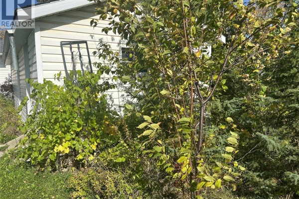 Other - 702 101st Avenue, Tisdale, SK S0E1T0 Photo 5