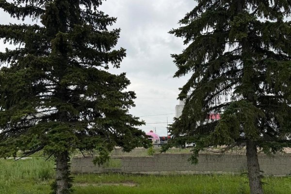 703 Norfolk Avenue, Chamberlain, SK S0G0R0 Photo 3