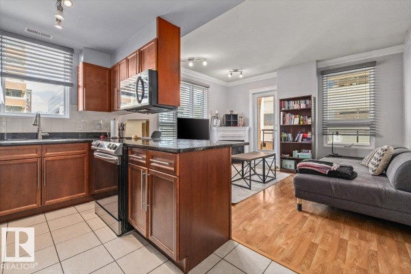 #704 9939 109 Street Nw, Edmonton, AB T5K1H6 Photo 5