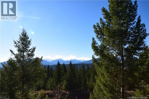 7041 White Tail Lane Lot# 23, Radium Hot Springs, BC V0A1M0 Photo 4