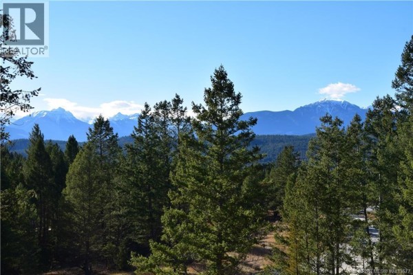 7048 White Tail Lane Lot# 21, Radium Hot Springs, BC V0A1M0 Photo 5