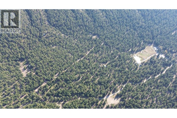 Aerial view of a wide expanse of dense evergreen forest with scattered clearings and shadows. - 7058 95 Highway, Radium Hot Springs
