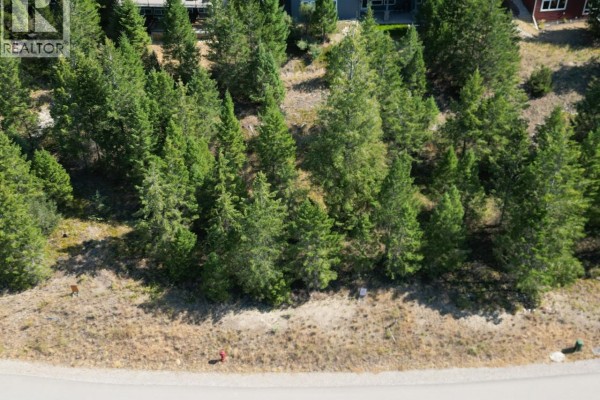 7062 White Tail Lane Lot# 18, Radium Hot Springs, BC V0A1M0 Photo 4