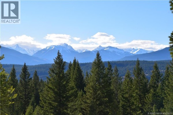 7062 White Tail Lane Lot# 18, Radium Hot Springs, BC V0A1M0 Photo 5