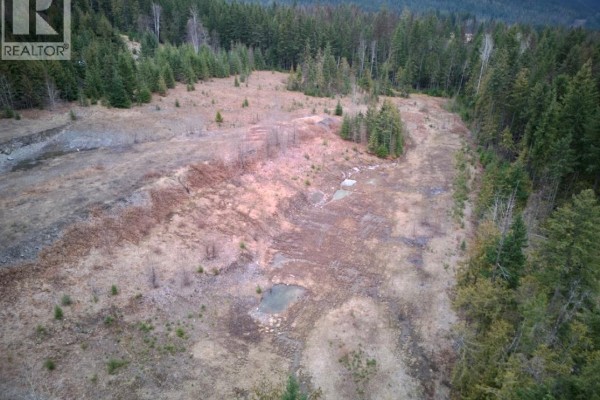 707 Billings Road, Nakusp, BC V0G1R1 Photo 5