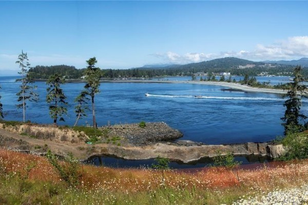 Panoramic view of a blue ocean channel with scattered trees and boats. - 7078 East Sooke Rd, Sooke