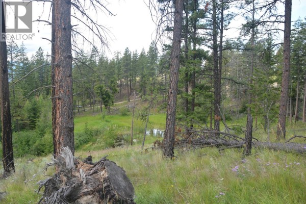 7080 Glenfir Road Unit# 17, Naramata, BC V0H1N1 Photo 5