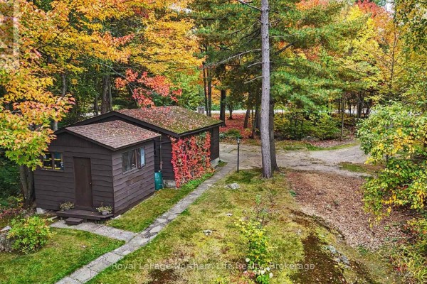 An aerial view of a brown wooden cabin with a small attached shed in a wooded area. - 709 Macpherson Drive, East Ferris