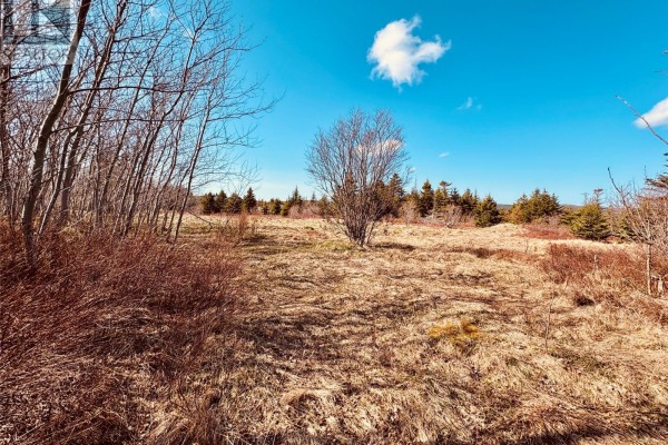 70a Central Street, Bay Roberts, NL A0A0H2 Photo 4