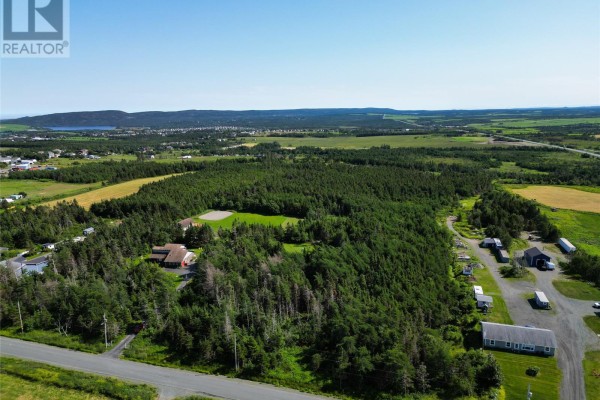 71-77 Cochrane Pond Road, St  John S, NL A1S0B3 Photo 4