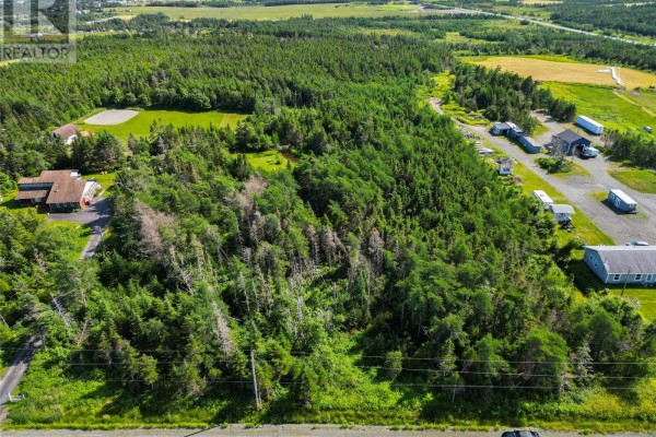71-77 Cochrane Pond Road, St  John S, NL A1S0B3 Photo 5