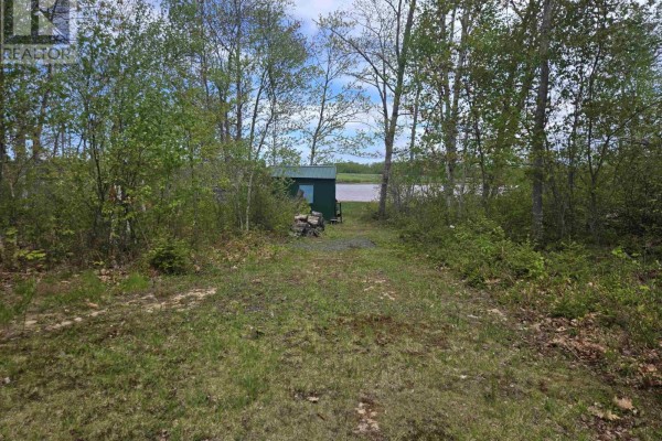 71 Macconnell Place, Waldegrave, NS B0K1V0 Photo 3