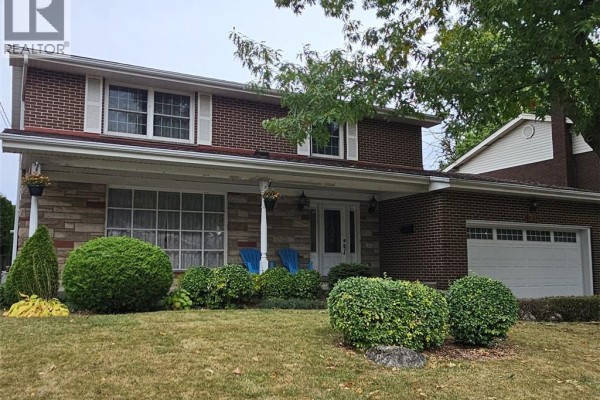 The left side of the house shows manicured bushes, a tall evergreen, and the start of the front lawn. - 71 Margate Avenue, Hamilton