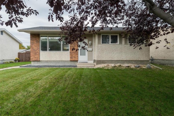 View of the house exterior from the side, with a large tree and lawn in the foreground. - 71 Rougeau Avenue, Winnipeg