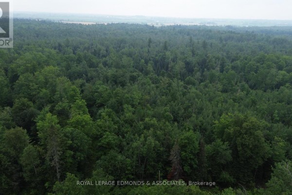 710 Westmeath Road, Whitewater Region, ON K8A6W2 Photo 5