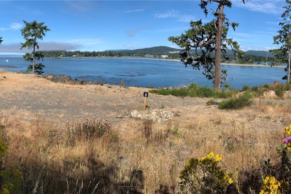 Panoramic view of a blue bay from a dry, grassy lot with scattered rocks and yellow wildflowers, framed by trees. - 7100 Friendship Lane, Sooke