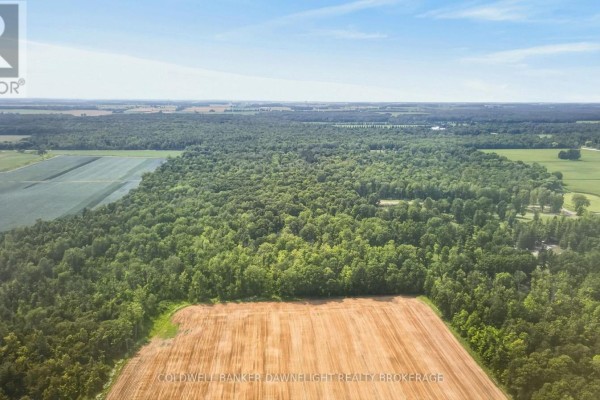 71034 Ausable Line, South Huron, ON N0M1S4 Photo 5