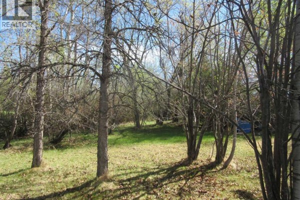 71037 Township Road 39-3, Rural Clearwater County, AB T0M0C0 Photo 3