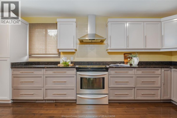 Utility room - 7110 Isabelle Court, Windsor, ON N8S4J7 Photo 3