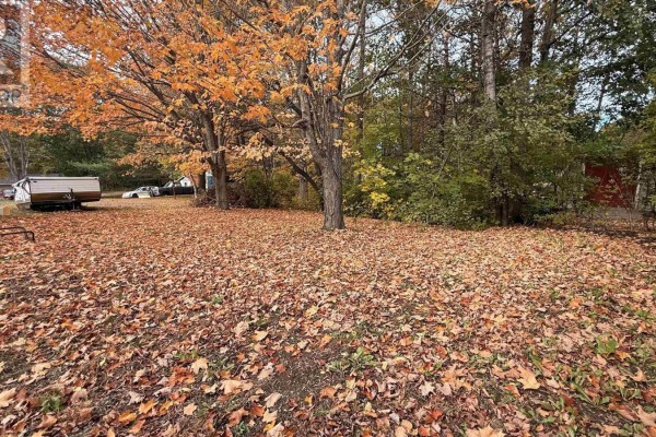 Bedroom - 7129 Highway 1, Coldbrook, NS B4R1C1 Photo 4