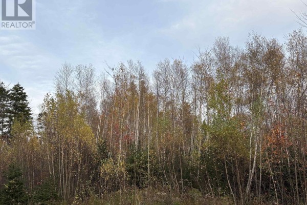 72 Beck Road, Scotch Hill, NS B0K1H0 Photo 4
