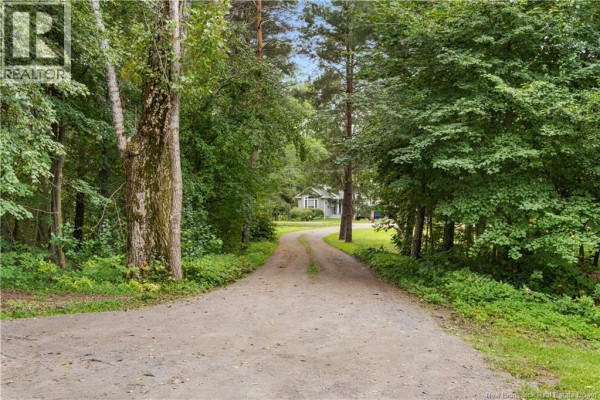 Gravel driveway leading through a dense forest towards a small, distant house on a sunny day. - 72 Hanington, Shediac Cape
