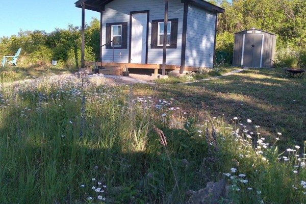Small grey building with black trim, two windows, and a covered porch, surrounded by tall grass and wildflowers. - 72 Store Street, Tweed)