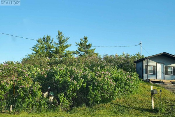 Small grey building with black trim and windows, adjacent to lilac bushes and pine trees under a blue sky. - 72 Store Street, Tweed)