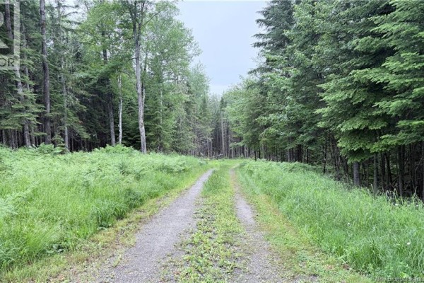 720 Enterprise Road, Enterprise, NB E7G1M3 Photo 4