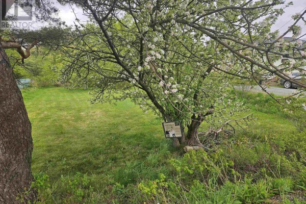 720 Lucasville Road, Lucasville, NS, photo 2