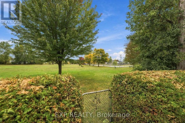 View of a grassy park with trees, a chain-link gate, and hedges in the foreground. - 724 Mckellar Street, Peterborough