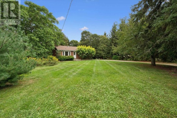 7241 Wellington Rd 21 Road, Centre Wellington, ON N0B1B0 Photo 5