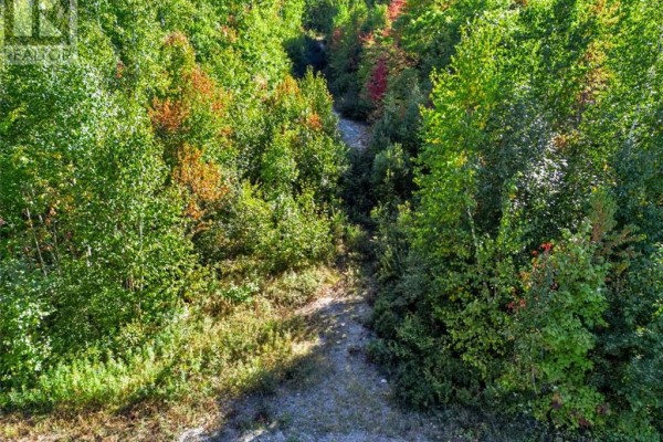 725 Pinecone Road, Skead, ON P0M2Y0 Photo 2