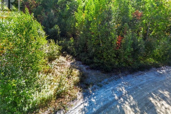 725 Pinecone Road, Skead, ON P0M2Y0 Photo 3