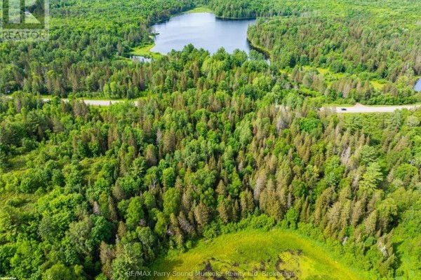 Aerial view of lush greenery and a lake in the background. - 7281 Highway 124, Magnetawan