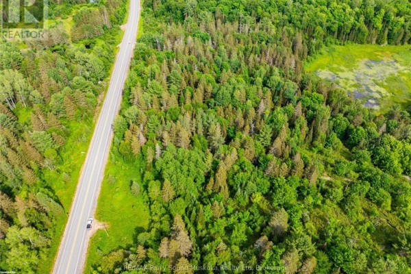 Aerial view of vibrant green land with water bodies and surrounding trees. - 7281 Highway 124, Magnetawan