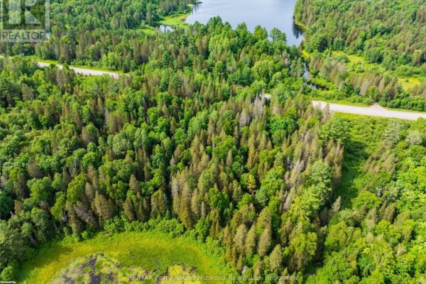 Aerial shot of wooded area with a lake and highway visible. - 7281a Highway 124, Magnetawan