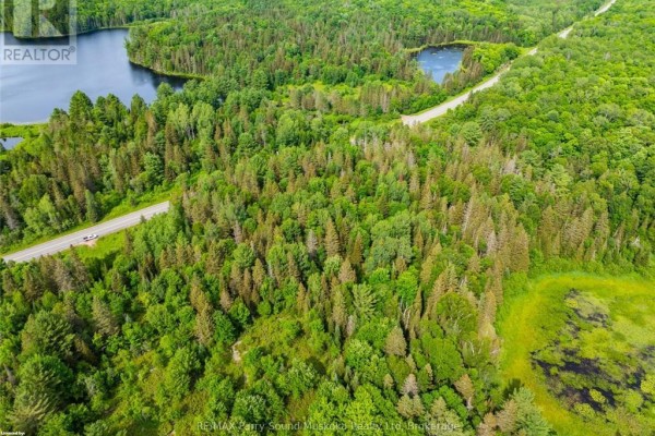 Top-down view of forested land adjacent to a road and wetland area. - 7281a Highway 124, Magnetawan