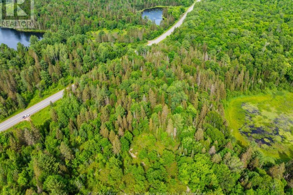7281b Highway 124, Magnetawan, ON P0G1G0 Photo 5