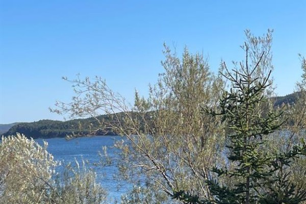 73-75 Bayview Street, Marystown, NL, photo 2