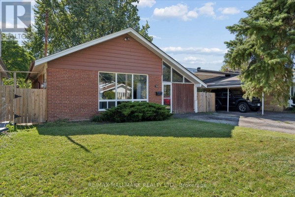 Kitchen - 73 Deerfield Road, Toronto, ON M1K4X2 Photo 3